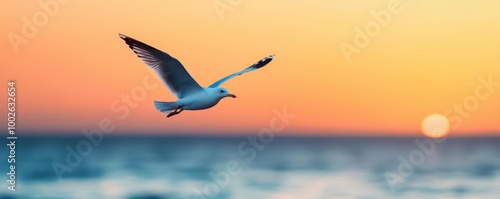 A single seagull soaring over a calm ocean at sunset, symbolizing freedom and tranquility with soft pastel skies and gentle waves seagull, freedom, tranquility, nature