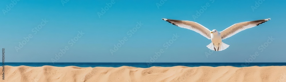 Fototapeta premium A seagull gliding gracefully above a serene beach, wings spread wide against a peaceful blue sky, capturing a sense of freedom and calm seagull, freedom, tranquility, coastal scene