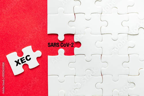 XEC, the newest subvariant of the SARS CoV-2 virus. White puzzles on a red background reveal the inscription XEC and sars cov-2. Copy space. medical concept photo