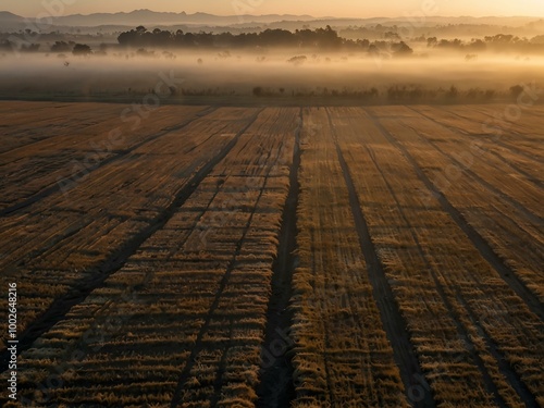 Sunrise over a vast plain, casting long shadows across the flat land.