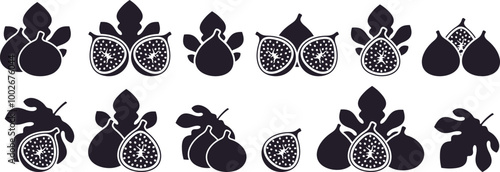 Fig logo. Isolated fig on white background