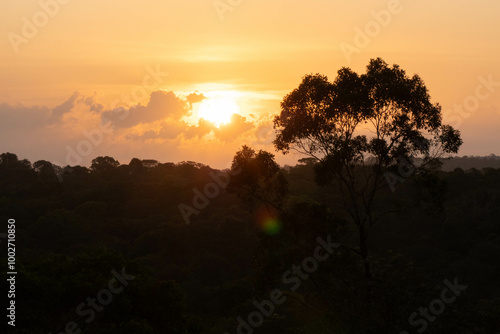 sunrise over the amazonian forest photo