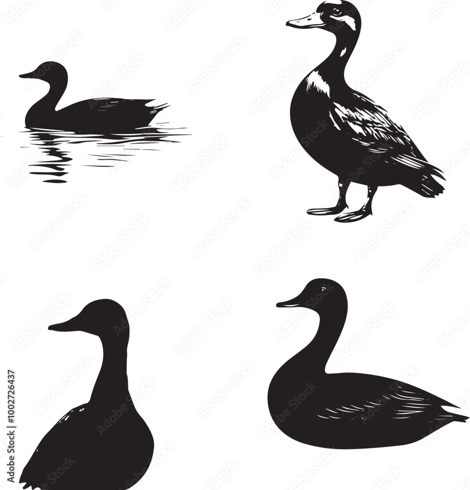 silhouette of a duck,bird, swan, animal, duck, goose, illustration, vector, silhouette, nature, cartoon, water, beak, icon, black, wild, lake, drawing, wildlife, birds, design, feather, love, art, sym silhouette of a duck,bird, swan, animal, duck, goose, illustration, vector, silhouette, nature, cartoon, water, beak, icon, black, wild, lake, drawing, wildlife, birds, design, feather, love, art, sym