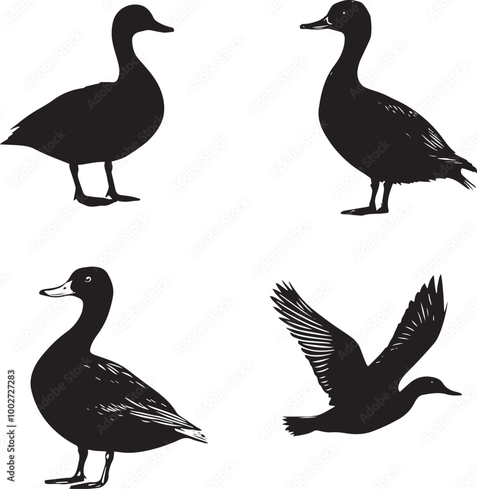 silhouette of a duck,bird, swan, animal, duck, goose, illustration, vector, silhouette, nature, cartoon, water, beak, icon, black, wild, lake, drawing, wildlife, birds, design, feather, love, art, sym silhouette of a duck,bird, swan, animal, duck, goose, illustration, vector, silhouette, nature, cartoon, water, beak, icon, black, wild, lake, drawing, wildlife, birds, design, feather, love, art, sym