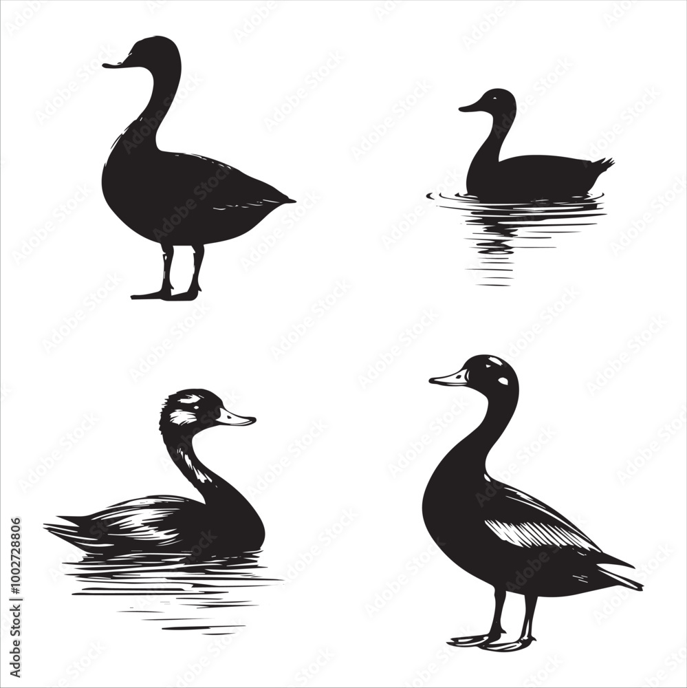 silhouette of a duck,bird, swan, animal, duck, goose, illustration, vector, silhouette, nature, cartoon, water, beak, icon, black, wild, lake, drawing, wildlife, birds, design, feather, love, art, sym silhouette of a duck,bird, swan, animal, duck, goose, illustration, vector, silhouette, nature, cartoon, water, beak, icon, black, wild, lake, drawing, wildlife, birds, design, feather, love, art, sym