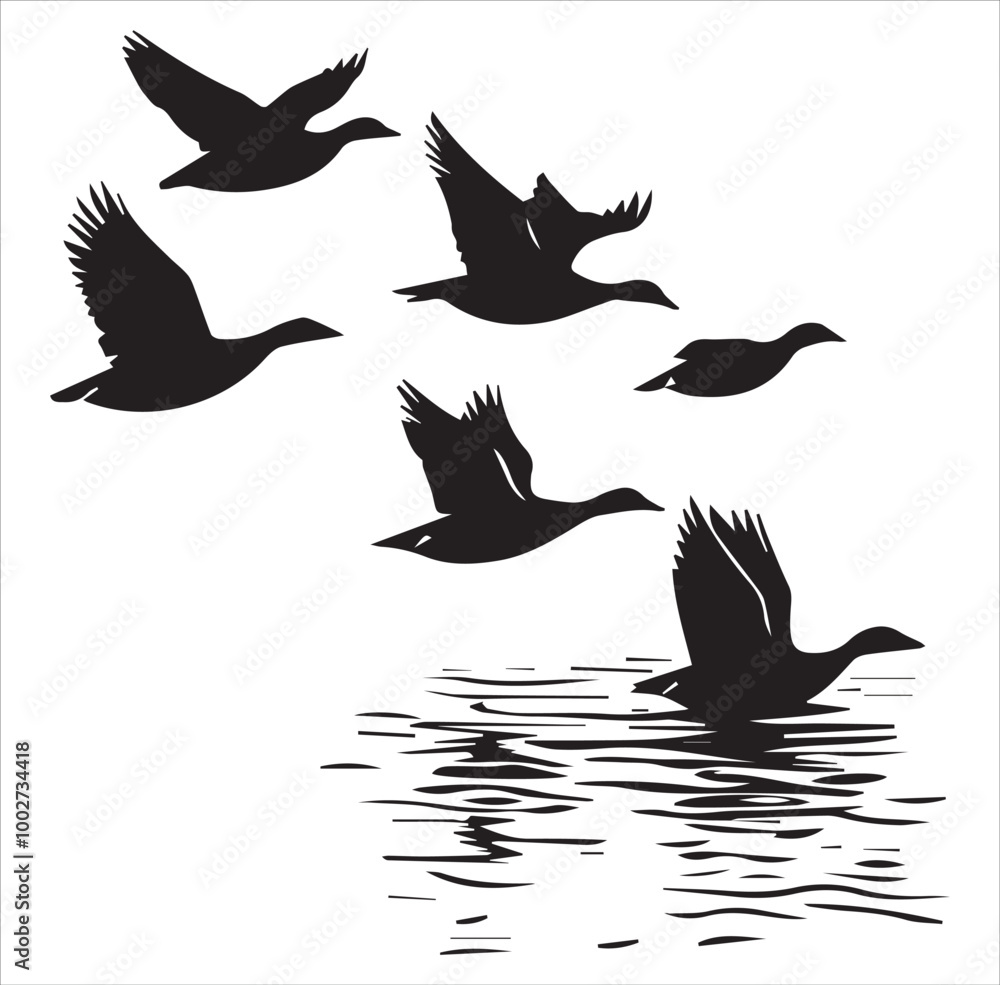 Fototapeta premium silhouette of a duck,bird, swan, animal, duck, goose, illustration, vector, silhouette, nature, cartoon, water, beak, icon, black, wild, lake, drawing, wildlife, birds, design, feather, love, art, sym