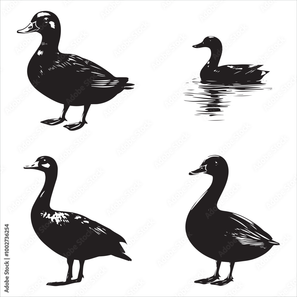 silhouette of a duck,bird, swan, animal, duck, goose, illustration, vector, silhouette, nature, cartoon, water, beak, icon, black, wild, lake, drawing, wildlife, birds, design, feather, love, art, sym silhouette of a duck,bird, swan, animal, duck, goose, illustration, vector, silhouette, nature, cartoon, water, beak, icon, black, wild, lake, drawing, wildlife, birds, design, feather, love, art, sym