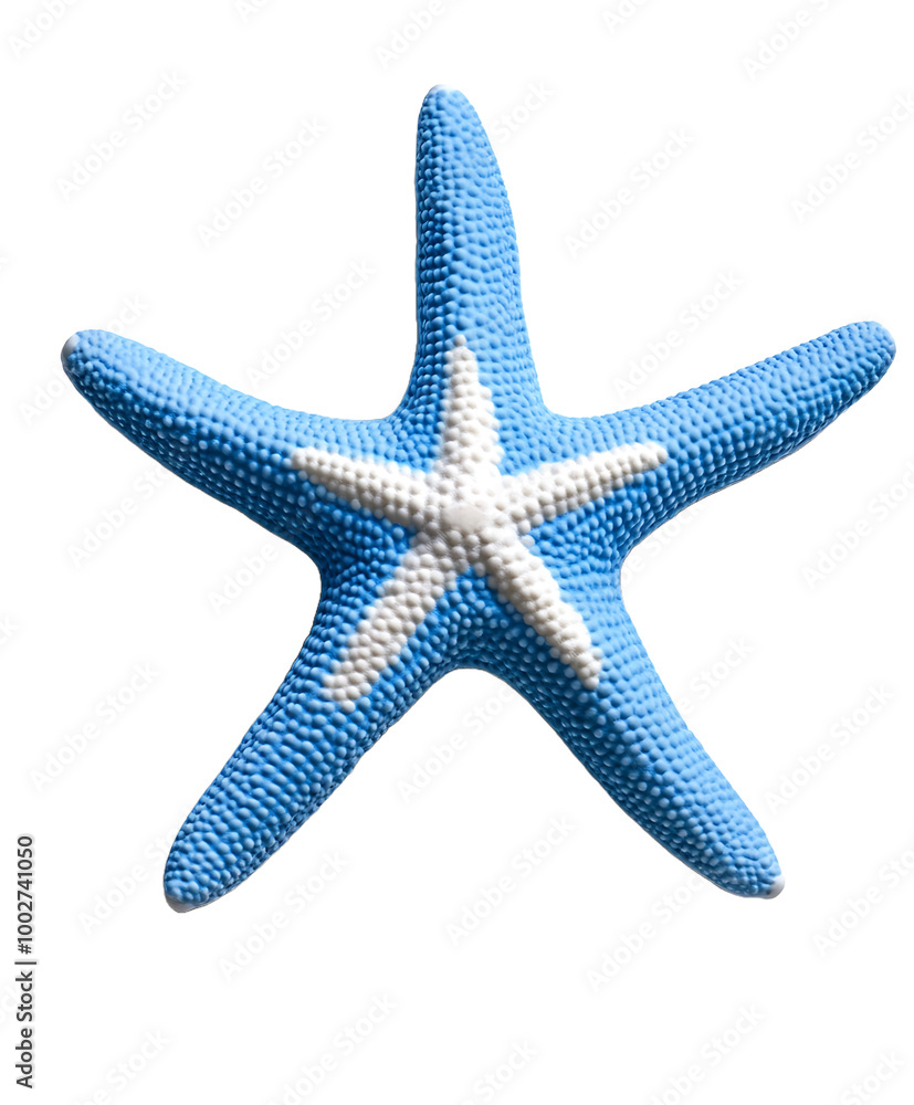 blue starfish with textured arms isolated on transparent background blue starfish with textured arms isolated on transparent background