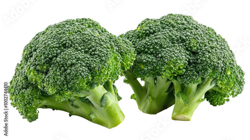 broccoli isolated on white background