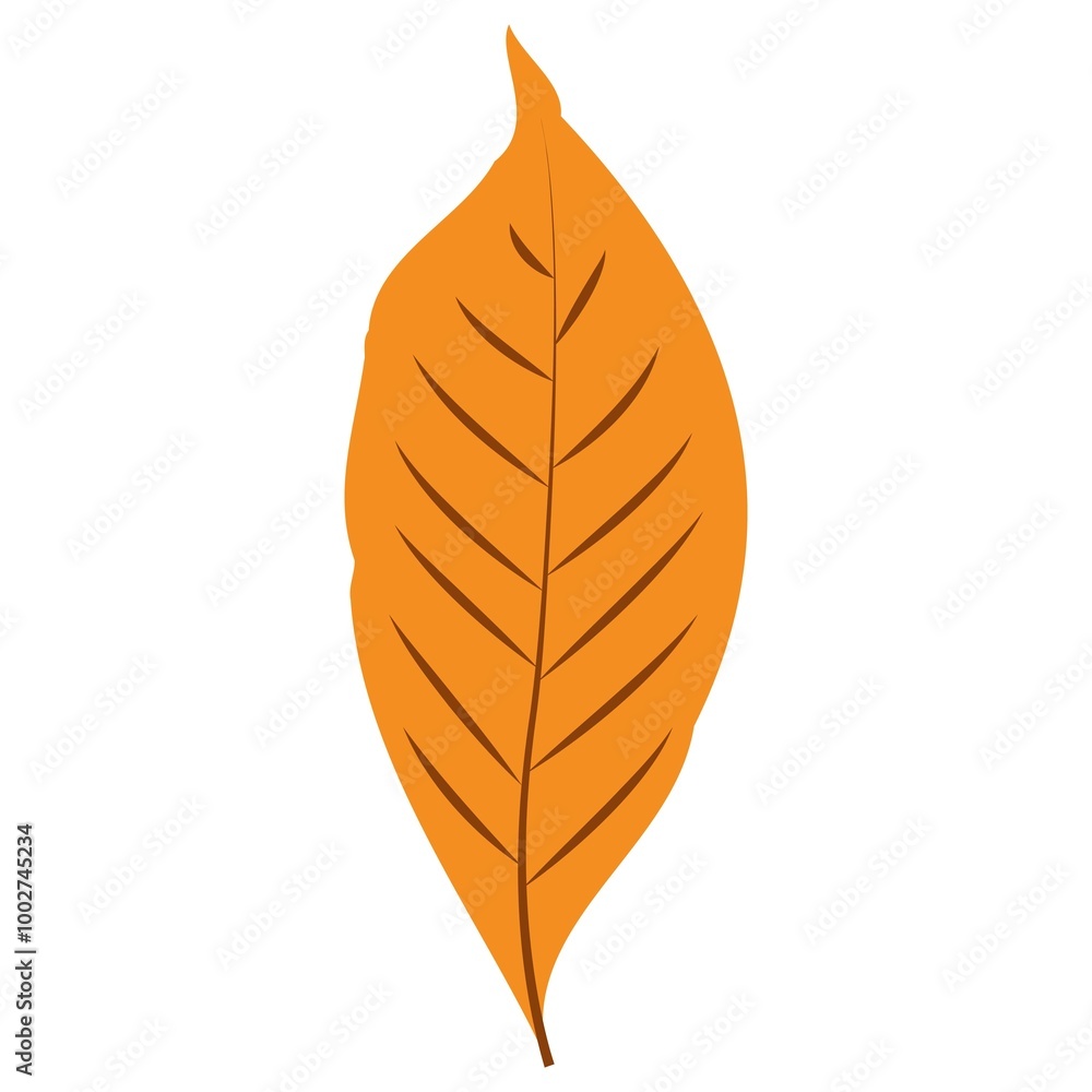 Autumn Leaves. Set of autumn leaves from different trees, oak, maple, chestnut. Simple, yellow, red, orange fall leaf set for pattern, banner, sticker, Hello autumn card. Flat vector illustration on w Autumn Leaves. Set of autumn leaves from different trees, oak, maple, chestnut. Simple, yellow, red, orange fall leaf set for pattern, banner, sticker, Hello autumn card. Flat vector illustration on w