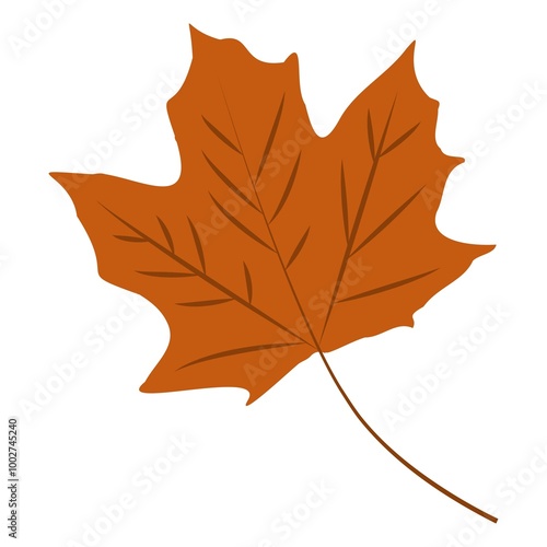 Autumn Leaves. Set of autumn leaves from different trees, oak, maple, chestnut. Simple, yellow, red, orange fall leaf set for pattern, banner, sticker, Hello autumn card. Flat vector illustration on w