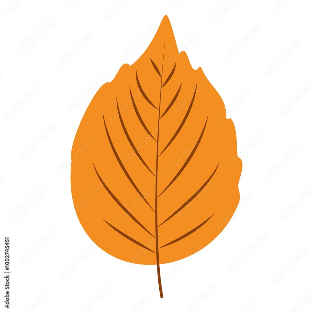 Autumn Leaves. Set of autumn leaves from different trees, oak, maple, chestnut. Simple, yellow, red, orange fall leaf set for pattern, banner, sticker, Hello autumn card. Flat vector illustration on w Autumn Leaves. Set of autumn leaves from different trees, oak, maple, chestnut. Simple, yellow, red, orange fall leaf set for pattern, banner, sticker, Hello autumn card. Flat vector illustration on w