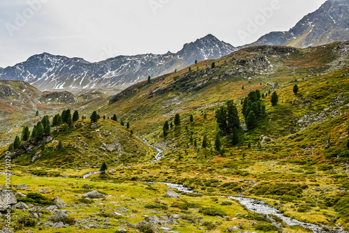 Flüela, Flüelapass, Alpen, Passhöhe, Passstrasse, Bergstrasse, Steinschlag, Felsen, Wanderweg, Bergbach, Graubünden, Herbst, Herbstfarben, Schweiz photo