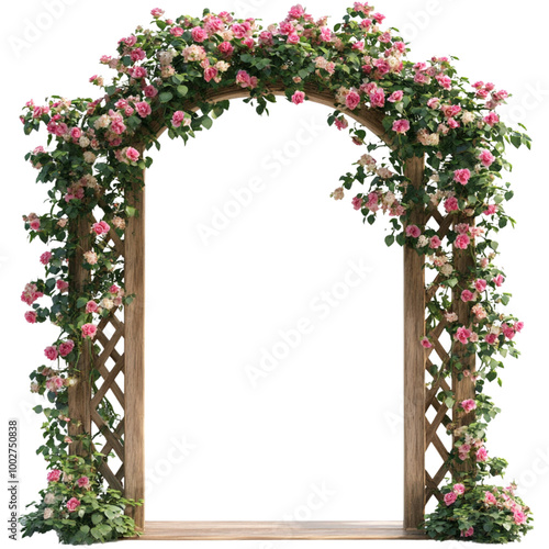Vines and flowers climbing on wooden arch against white background