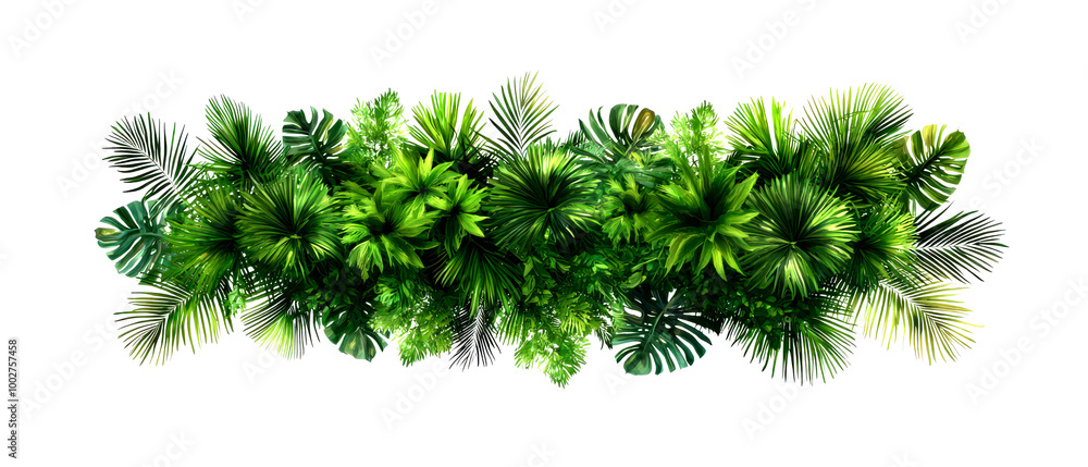 Lush green foliage with vibrant leaves isolate on transparent background, png, cutout Lush green foliage with vibrant leaves isolate on transparent background, png, cutout