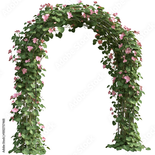 Vines and flowers climbing on wooden arch against white background