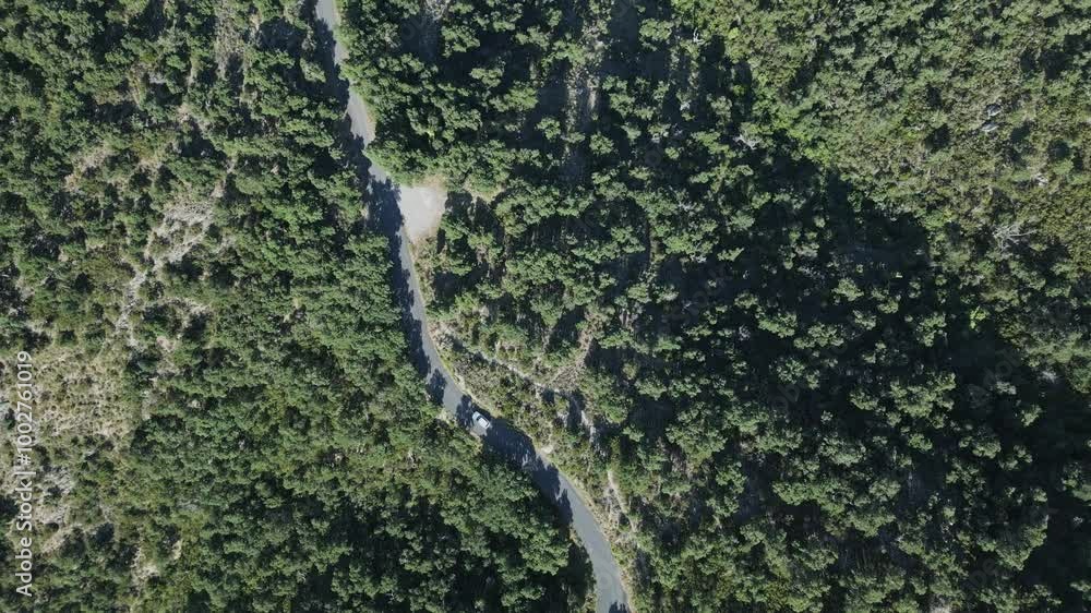 Drone Aerial top down White car follow road through Mediterranean green mountain forest Drone Aerial top down White car follow road through Mediterranean green mountain forest