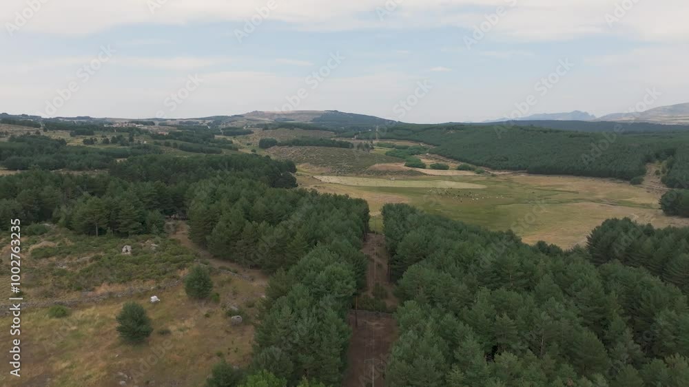 reverse flight with a drone where we see a power line and when it passes through a forest mass a corridor is made free of trees for proper operation and maintenance reverse flight with a drone where we see a power line and when it passes through a forest mass a corridor is made free of trees for proper operation and maintenance