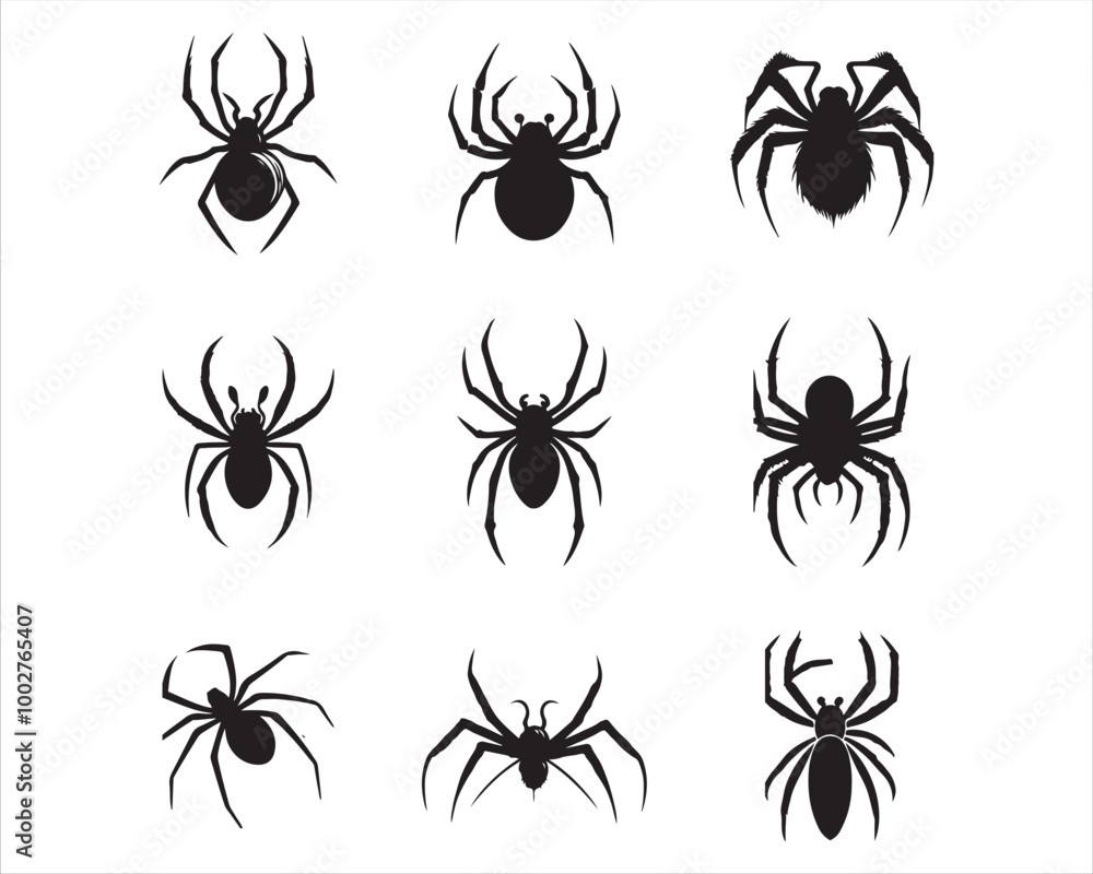Creepy Spider Silhouettes and Webs Creepy Spider Silhouettes and Webs