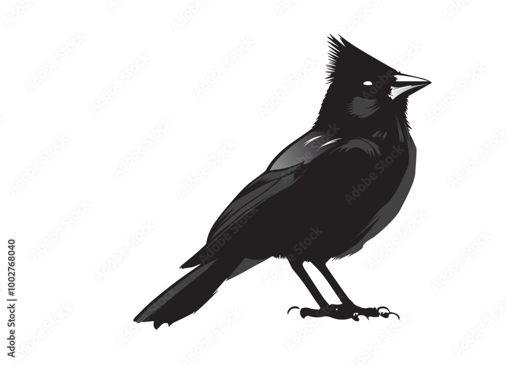 Obraz premium silhouettes of birds, bird, silhouette, animal, nature, illustration, vector, birds, crow, black, isolated, beak, bullfinch, branch, wildlife, white, wing, raven, feather, winter, cartoon, art, fly, 