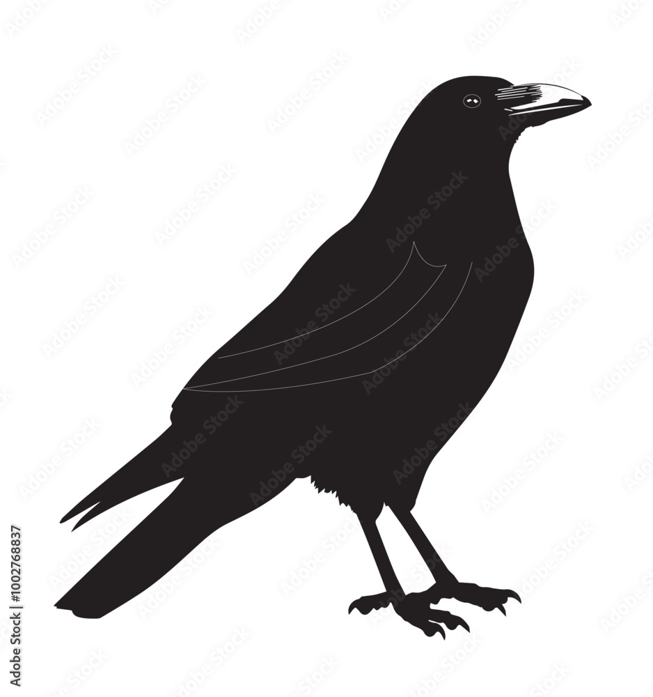 Fototapeta premium silhouettes of birds, bird, silhouette, animal, nature, illustration, vector, birds, crow, black, isolated, beak, bullfinch, branch, wildlife, white, wing, raven, feather, winter, cartoon, art, fly, 