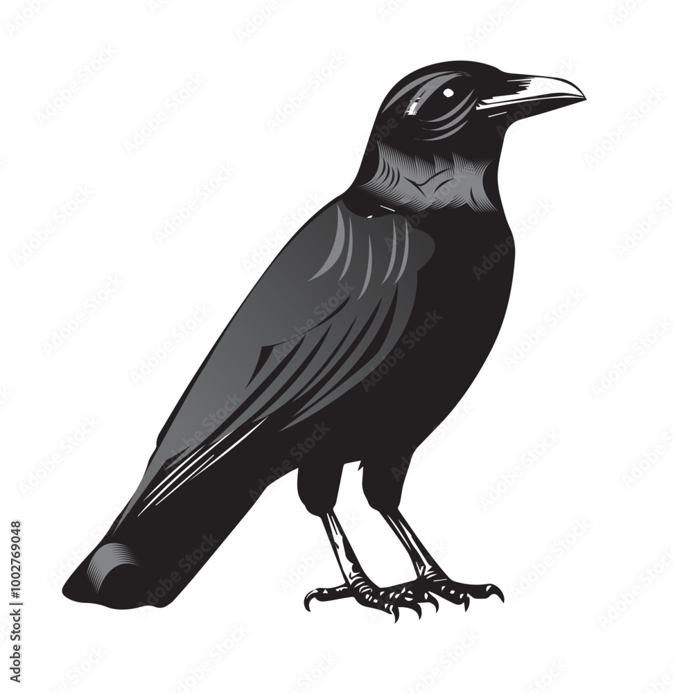 Fototapeta premium silhouettes of birds, bird, silhouette, animal, nature, illustration, vector, birds, crow, black, isolated, beak, bullfinch, branch, wildlife, white, wing, raven, feather, winter, cartoon, art, fly, 