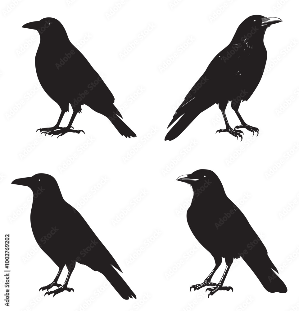 Obraz premium silhouettes of birds, bird, silhouette, animal, nature, illustration, vector, birds, crow, black, isolated, beak, bullfinch, branch, wildlife, white, wing, raven, feather, winter, cartoon, art, fly, 