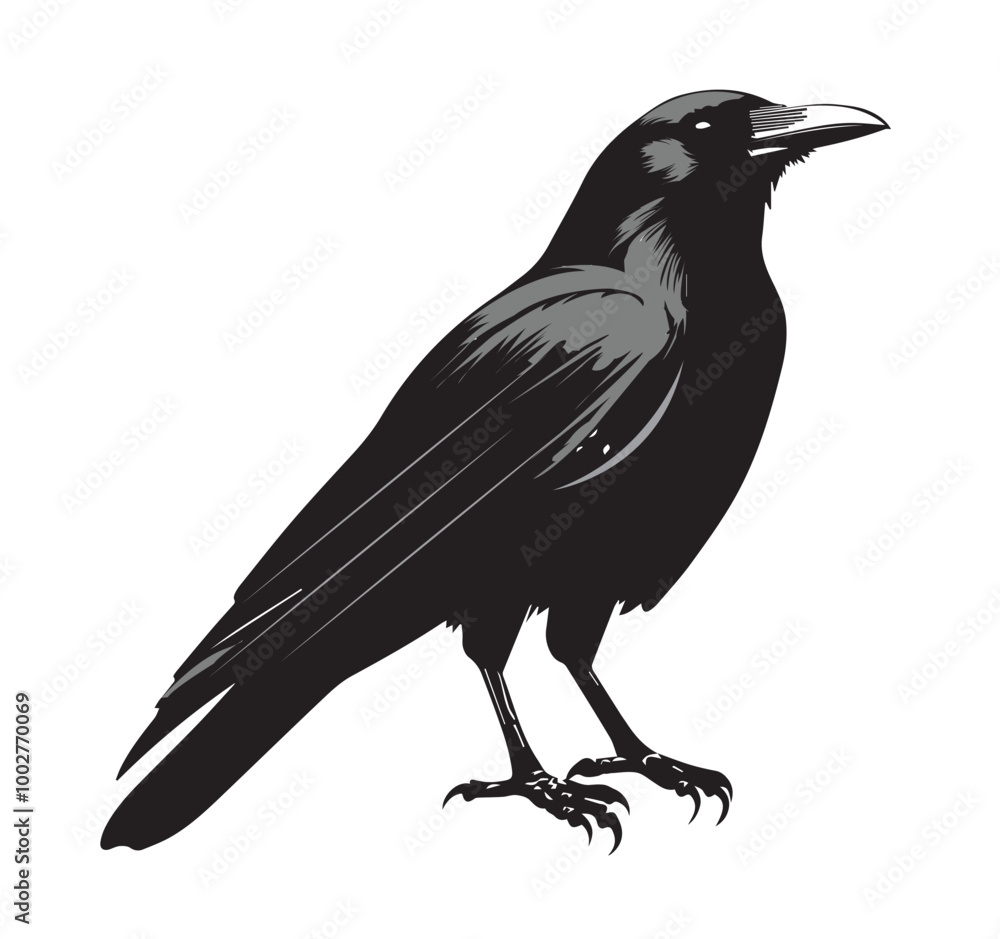 Fototapeta premium silhouettes of birds, bird, silhouette, animal, nature, illustration, vector, birds, crow, black, isolated, beak, bullfinch, branch, wildlife, white, wing, raven, feather, winter, cartoon, art, fly, 