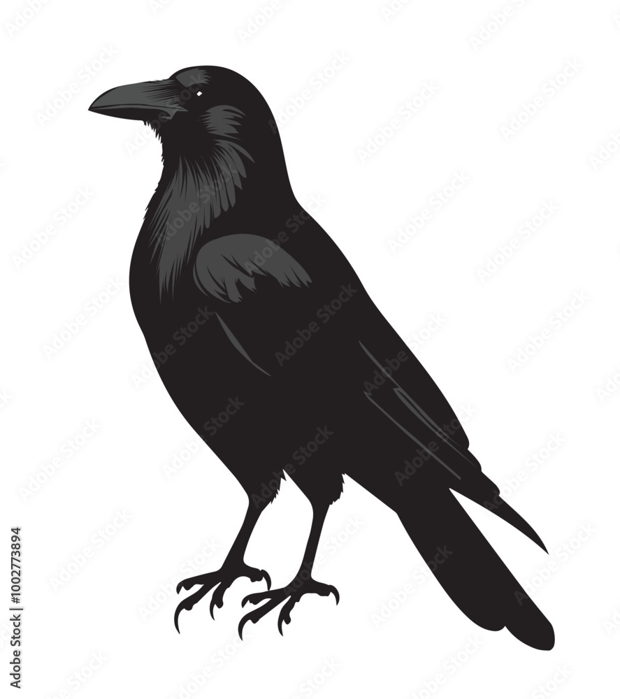 Fototapeta premium silhouettes of birds, bird, silhouette, animal, nature, illustration, vector, birds, crow, black, isolated, beak, bullfinch, branch, wildlife, white, wing, raven, feather, winter, cartoon, art, fly, 
