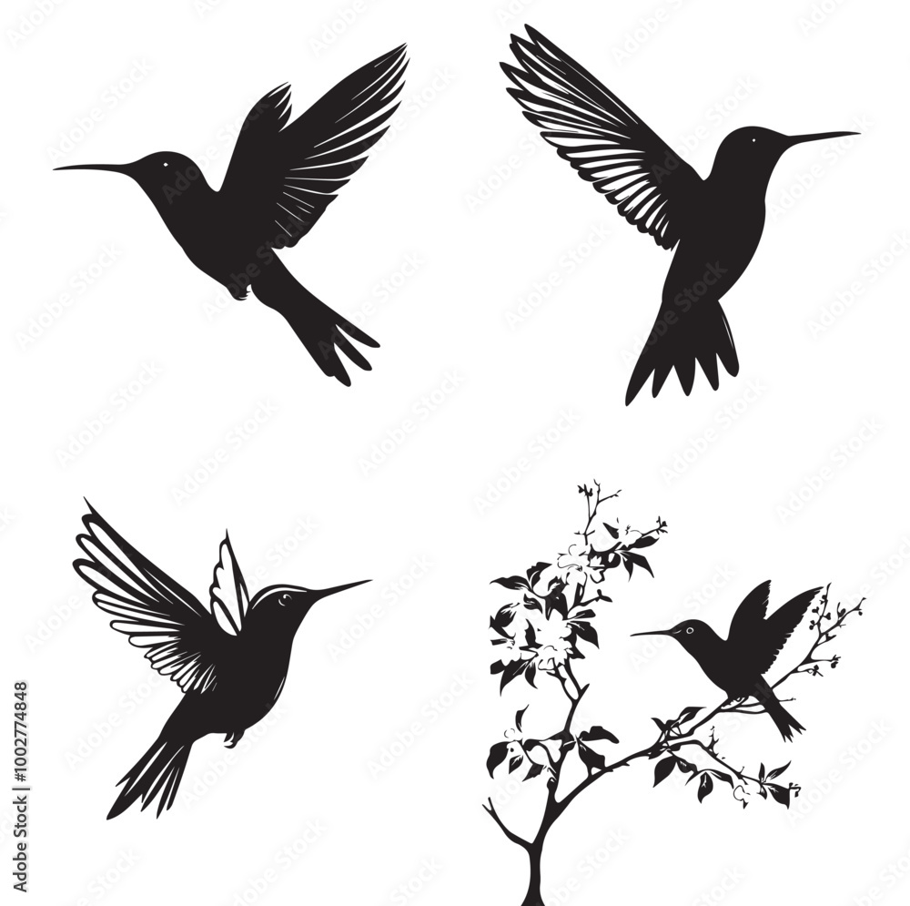 Obraz premium silhouettes of birds, bird, silhouette, animal, nature, illustration, vector, birds, crow, black, isolated, beak, bullfinch, branch, wildlife, white, wing, raven, feather, winter, cartoon, art, fly, 