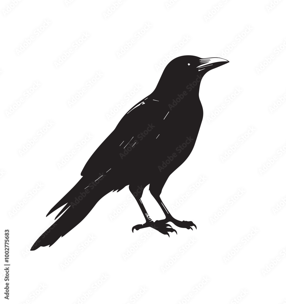 Obraz premium silhouettes of birds, bird, silhouette, animal, nature, illustration, vector, birds, crow, black, isolated, beak, bullfinch, branch, wildlife, white, wing, raven, feather, winter, cartoon, art, fly, 
