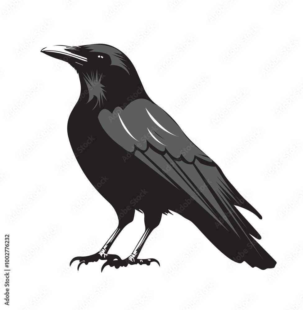 Fototapeta premium silhouettes of birds, bird, silhouette, animal, nature, illustration, vector, birds, crow, black, isolated, beak, bullfinch, branch, wildlife, white, wing, raven, feather, winter, cartoon, art, fly, 