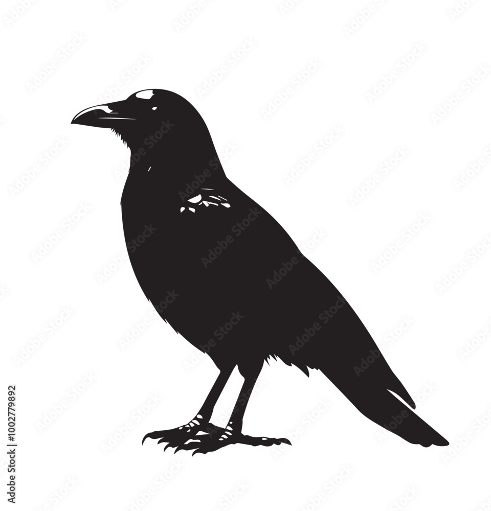 Obraz premium silhouettes of birds,bird, silhouette, animal, nature, illustration, vector, birds, crow, black, isolated, beak, bullfinch, branch, wildlife, white, wing, raven, feather, winter, cartoon, art, fly, tr