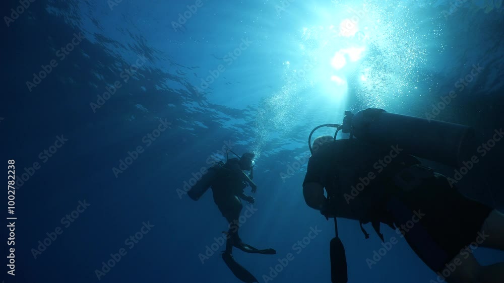 scuba divers ascending descending on the line of boat rope underwater blue ocean scenery scuba divers ascending descending on the line of boat rope underwater blue ocean scenery