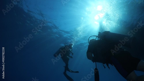 Wallpaper Mural scuba divers ascending descending on the line of boat rope underwater blue ocean scenery Torontodigital.ca
