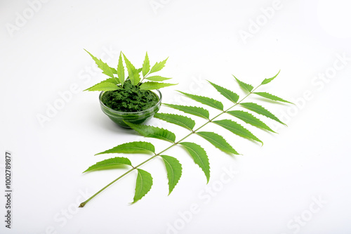 NEEM LEAF WITH NEEM PASTE ON ISOLATED WHITE BACKGROUND. photo