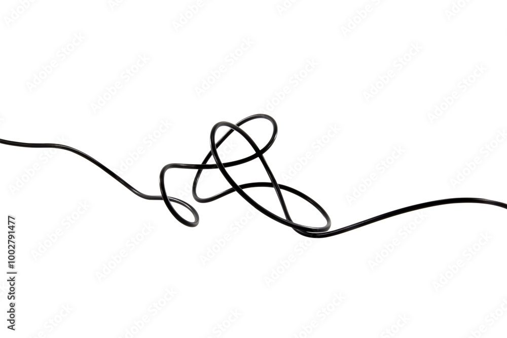 Obraz premium Black wire cable of usb and adapter isolated on transparent background.