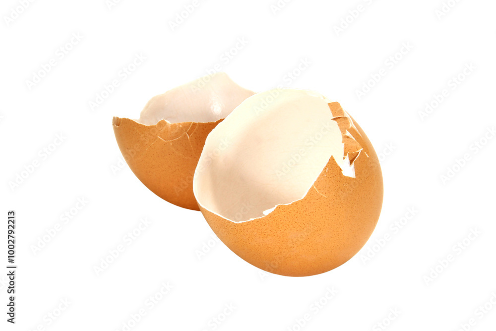 Eggshell isolated on transparent background. Eggshell isolated on transparent background.