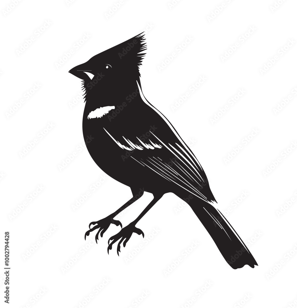 Obraz premium silhouettes of birds,bird, silhouette, animal, nature, illustration, vector, birds, crow, black, isolated, beak, bullfinch, branch, wildlife, white, wing, raven, feather, winter, cartoon, art, fly, tr