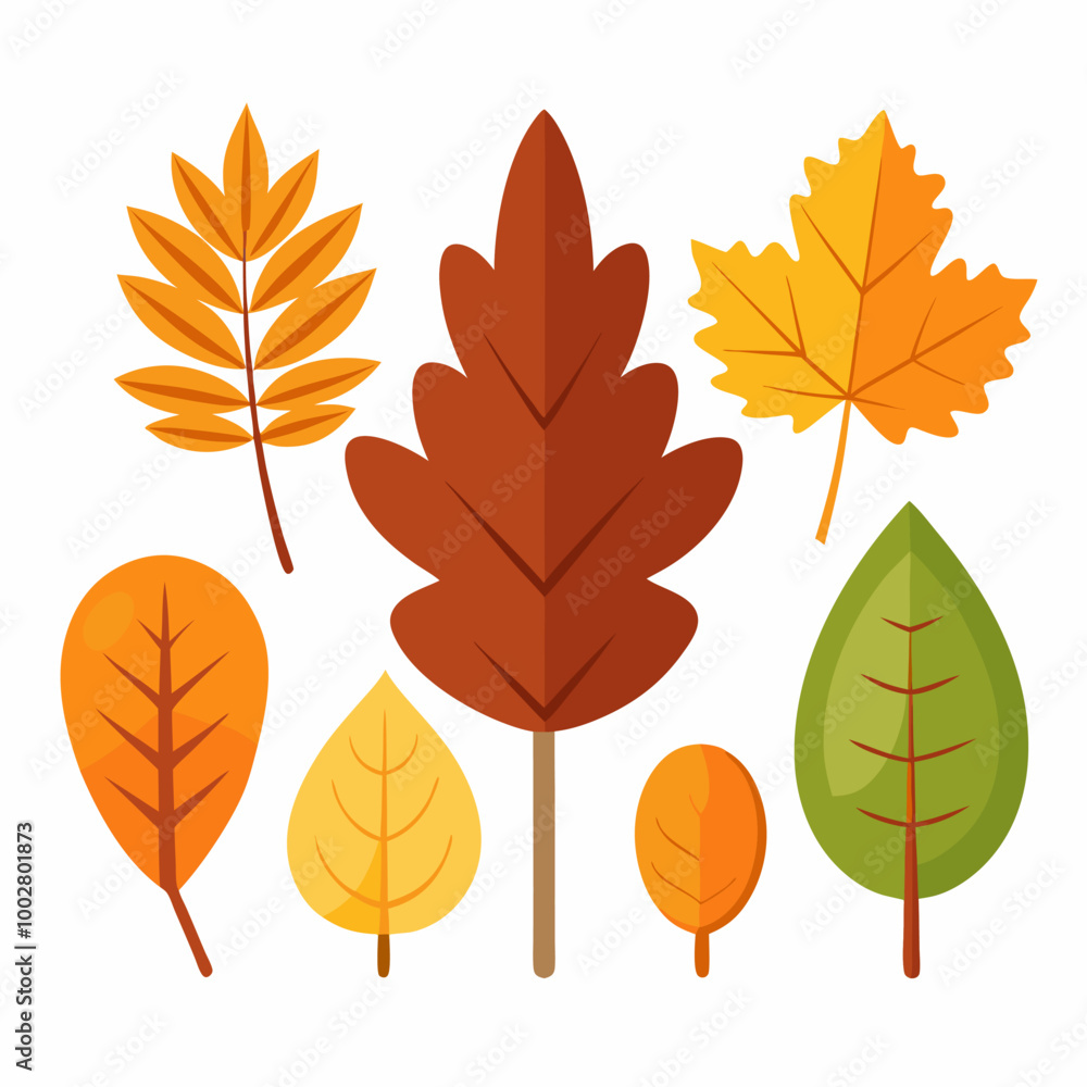 Naklejka premium A collection of colorful autumn leaves in various shapes and sizes, perfect for adding a touch of fall to your designs. This vector illustration features leaves, oak leaves.