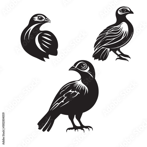 A set of Quail Black silhouette, vector style