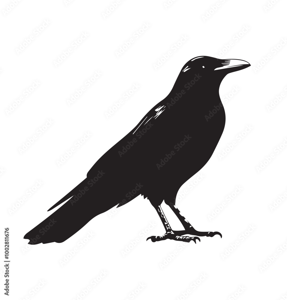 Obraz premium crow on a white background