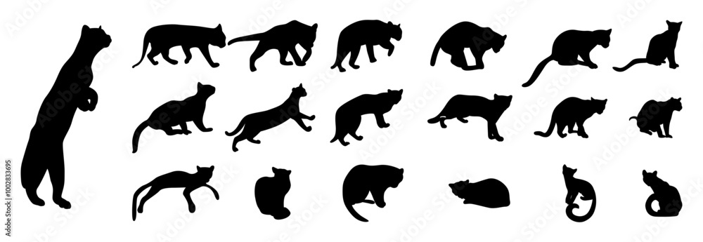 Fototapeta premium silhouette of a margay on a white vector set of silhouettes of animals