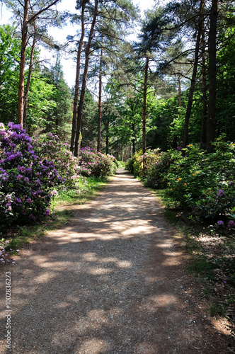  Promenade.