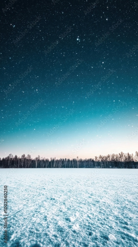 Fototapeta premium A serene winter landscape under a starry sky, showcasing tranquility and beauty.