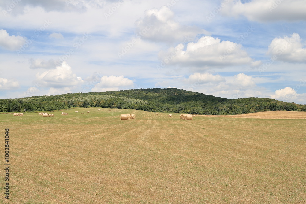 Wheat bale. Wheat bale.