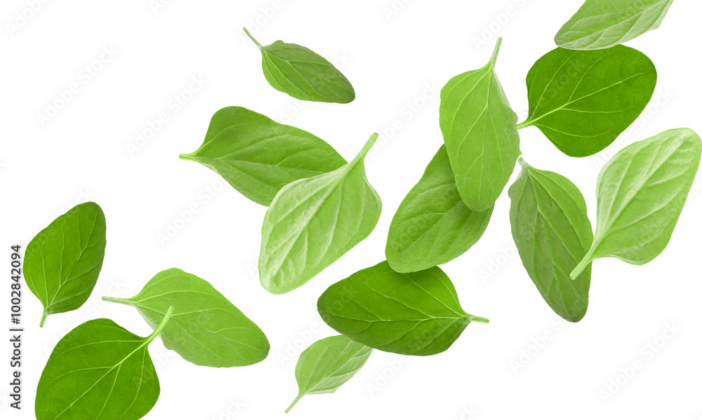 Naklejka premium Fresh oregano leaves in air on white background