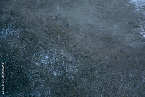 Wallpaper Mural Raindrops on the surface of the puddle. Shallow depth of field. Torontodigital.ca