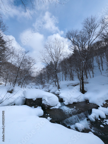 Small river running through a snow covered forest on a winters day photo