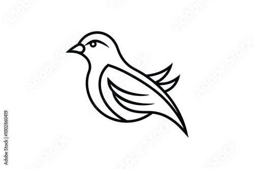 Black bird vector logo photo